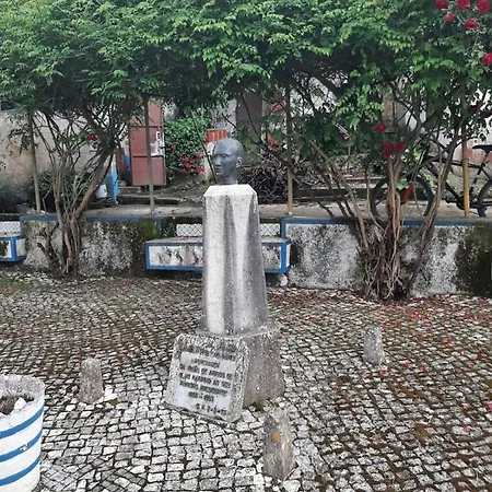 Διαμέρισμα A Casa Elmar Olho Marinho