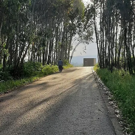 A Casa Elmar Olho Marinho