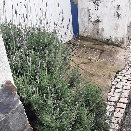 Διαμέρισμα A Casa Elmar Olho Marinho